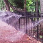 Ultimate Guide to Pest Prevention