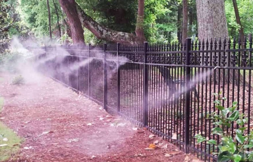Ultimate Guide to Pest Prevention